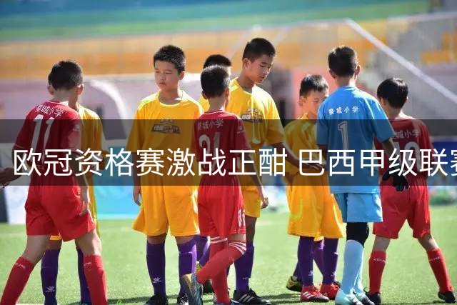 欧冠资格赛激战正酣 巴西甲级联赛战术解析