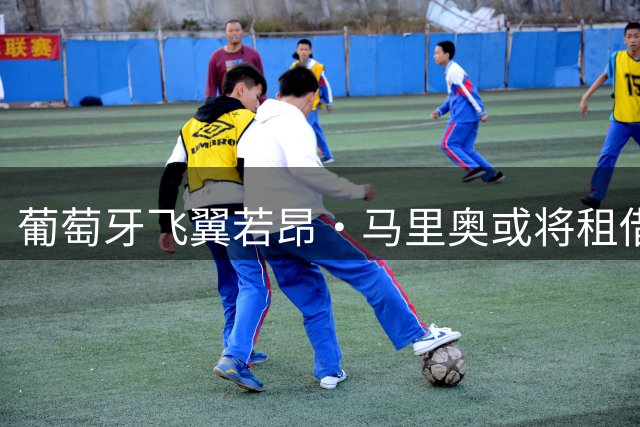 葡萄牙飞翼若昂·马里奥或将租借紫百合 合约含选择性买断条款